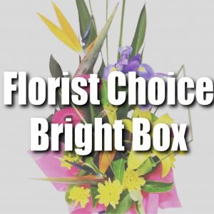 Florist Choice Bright Box