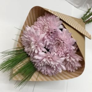 Disbud Chrysanthemum Wrap