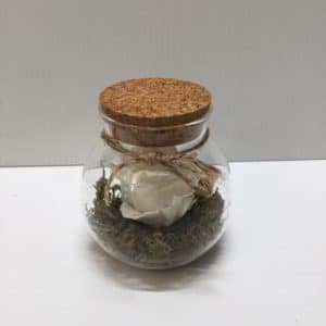 White Preserved Rose in Jar