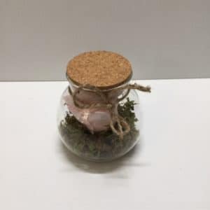 Pink Preserved Rose in Jar