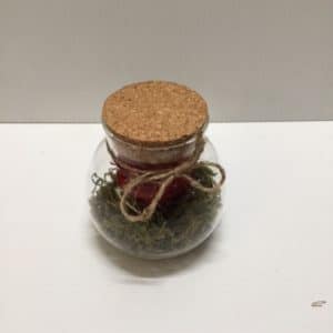 Red Preserved Rose in Jar